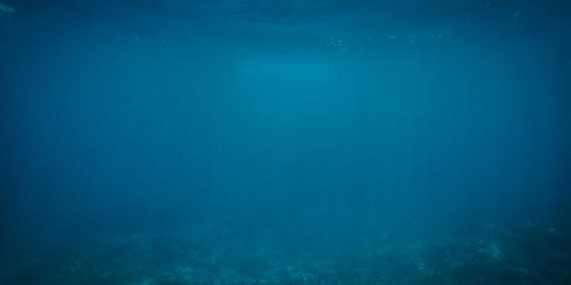 价格监测
